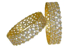 Darshini Bangles