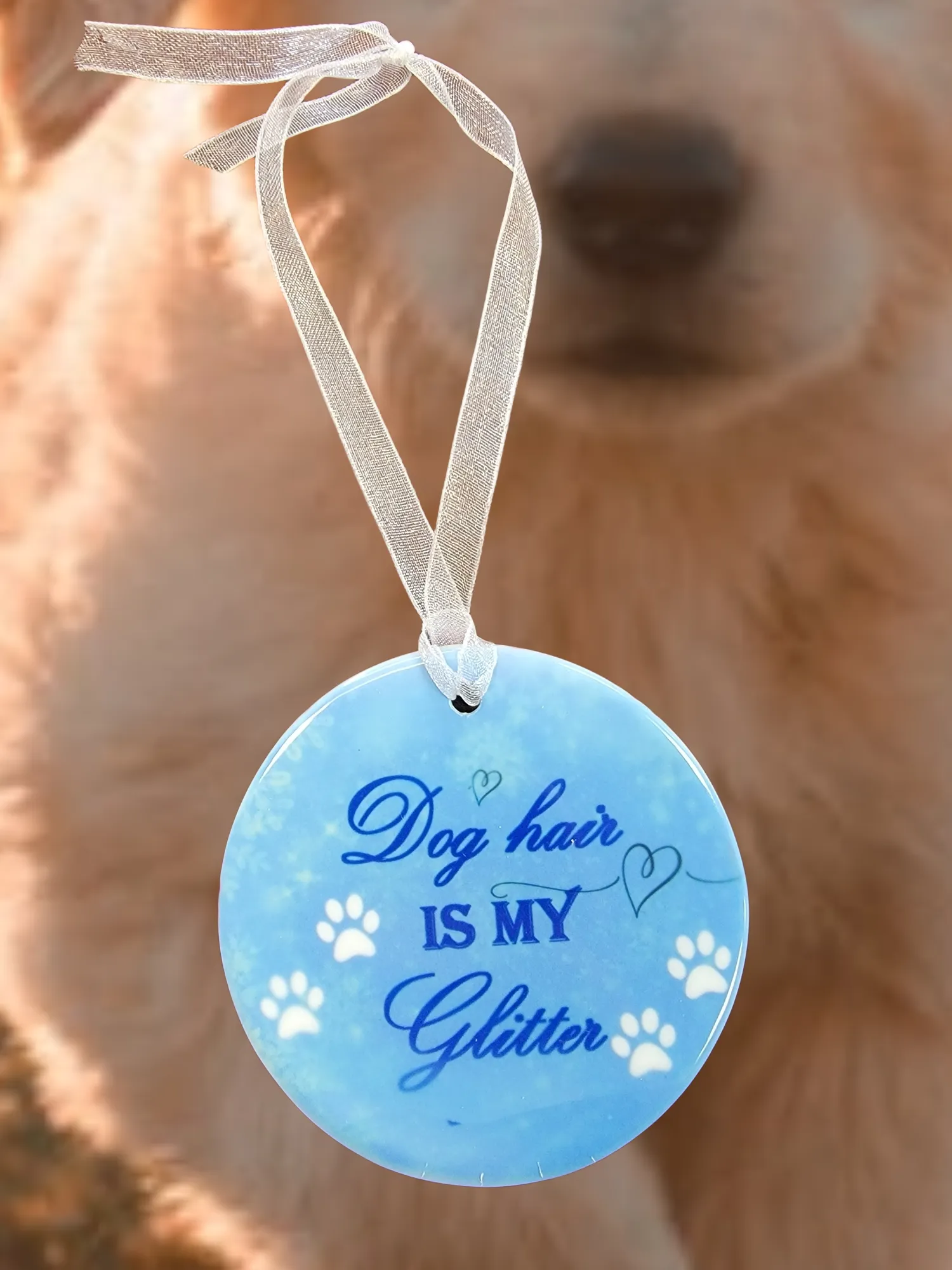 Dog or Cat Lover Christmas Ornament